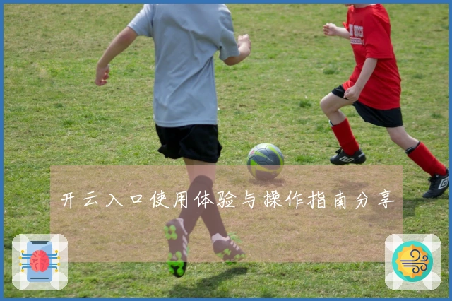 开云入口使用体验与操作指南分享