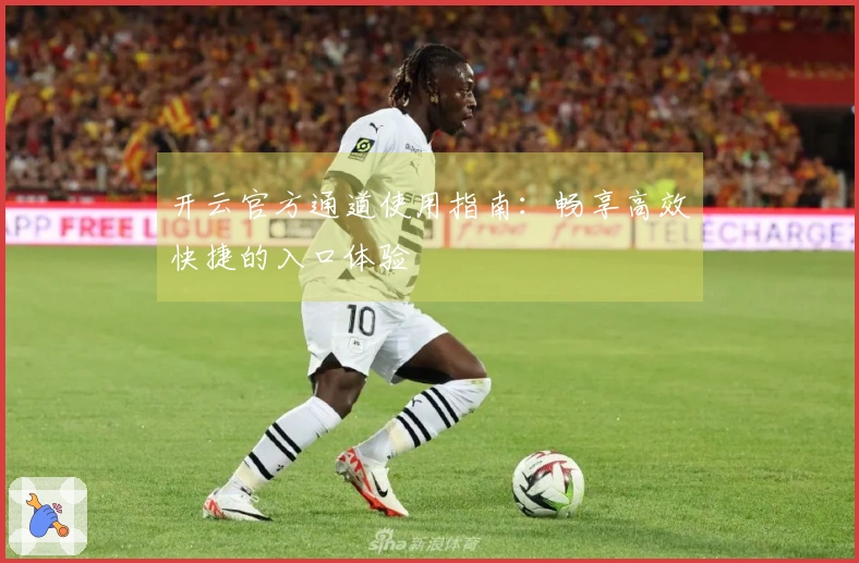开云官方通道使用指南：畅享高效快捷的入口体验