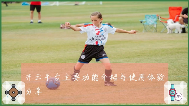 开云平台主要功能介绍与使用体验分享