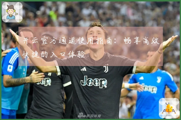 开云官方通道使用指南：畅享高效快捷的入口体验