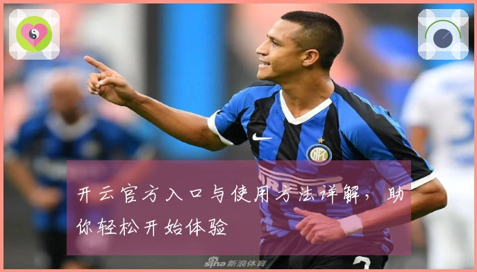 开云官方入口与使用方法详解，助你轻松开始体验